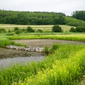 Obnova údolní nivy řeky Kyjovky